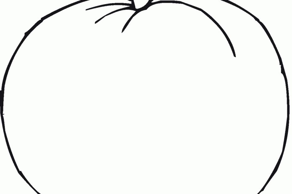 Blank Pumpkin Coloring Pages Educative Printable