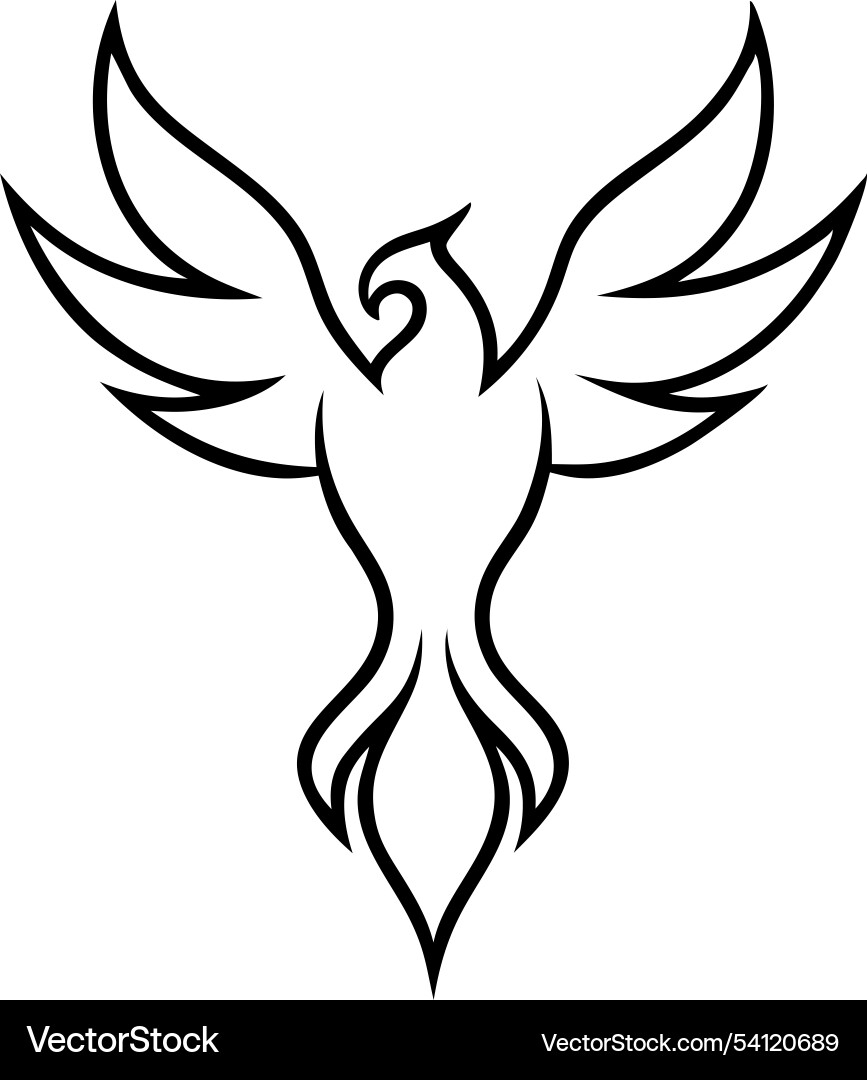 phoenix drawing