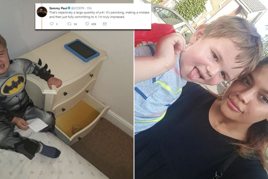 Bournemouth Mother Catches Her Son Using Drawers As Toilet Daily