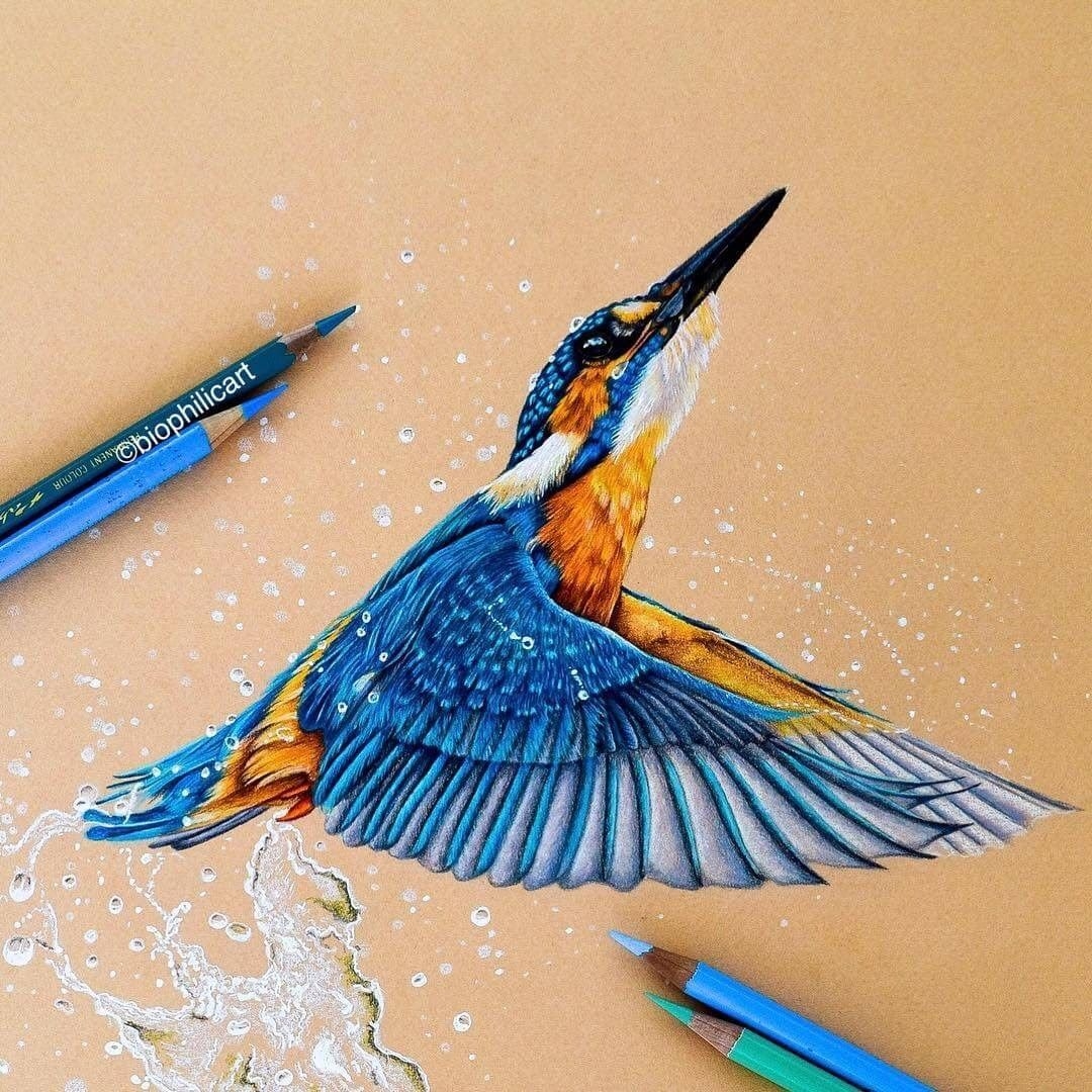 Brightly Colored Animal Pencil Drawings