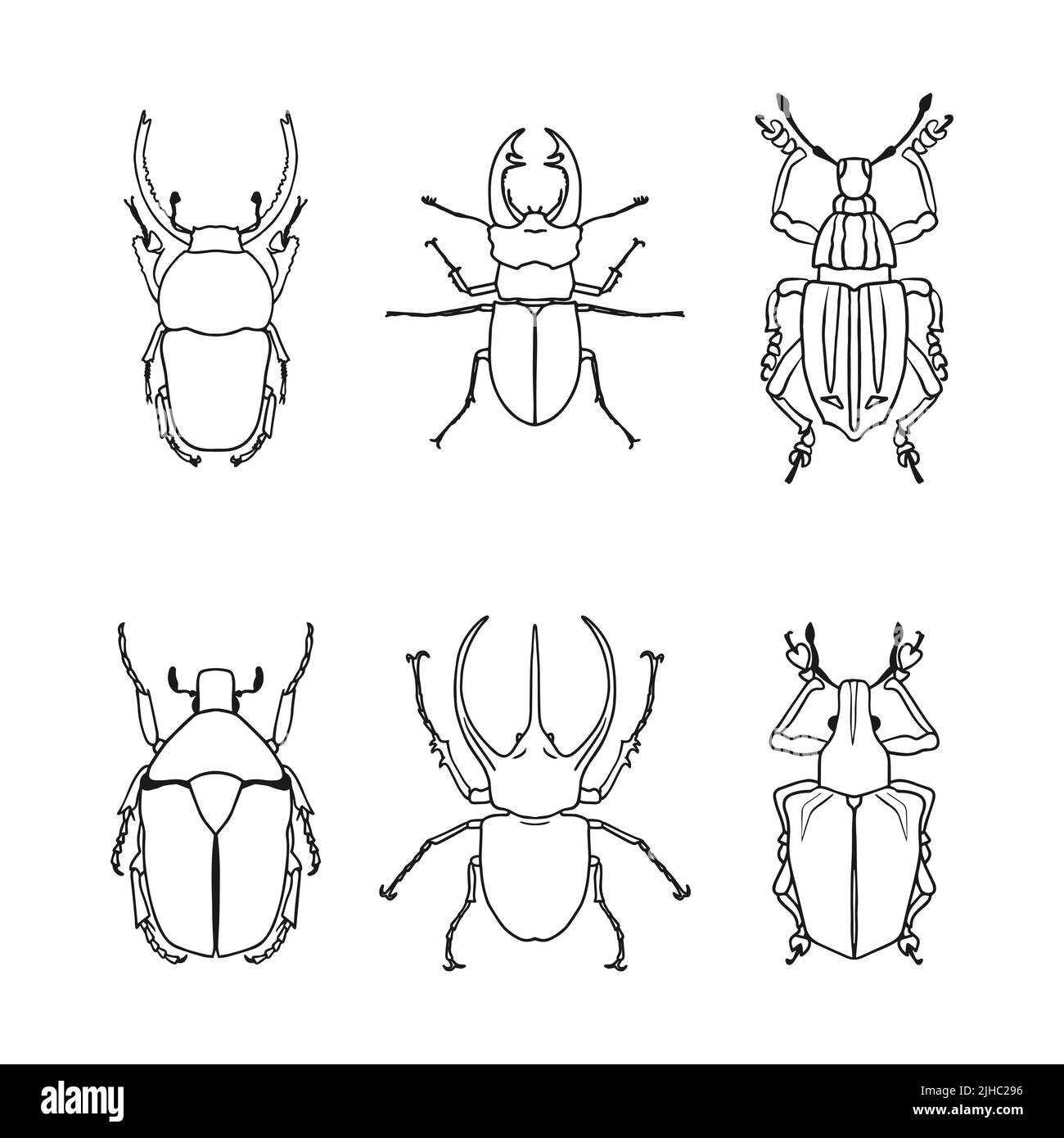 Bug Drawings Stock Vector Images Alamy