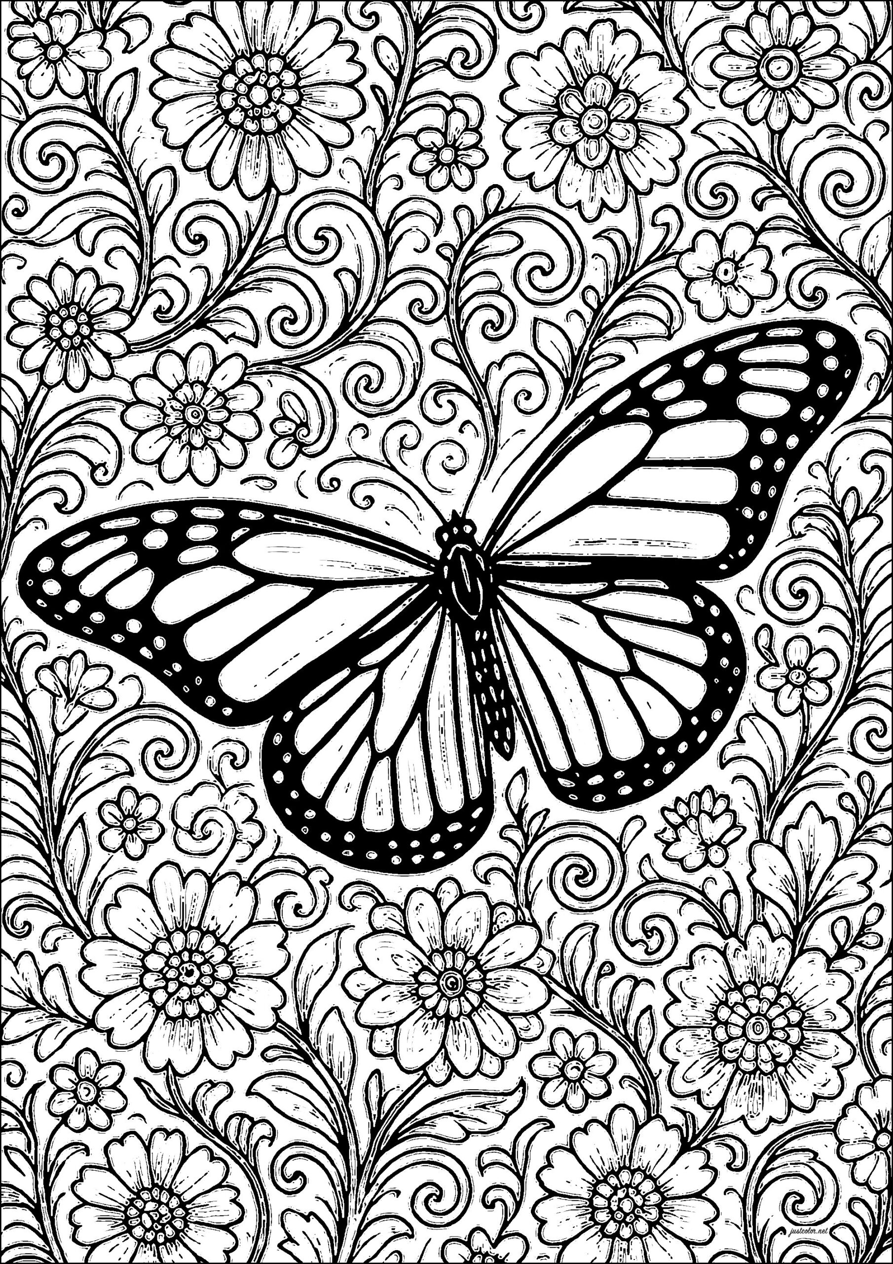 Butterfly On Floral Background Butterflies U0026 Insects Coloring 