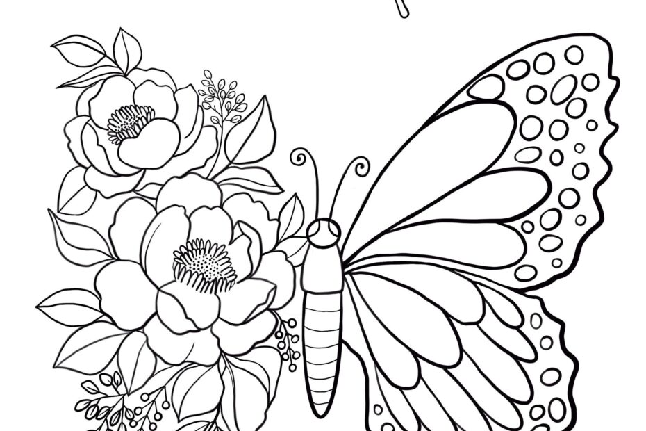 Butterfly Printable Coloring Sheet Coloring Pages Kids