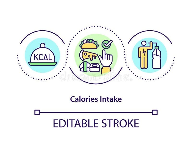Calories Intake Concept Icon Stock Vector Illustration Of Strategy Meal 213635995