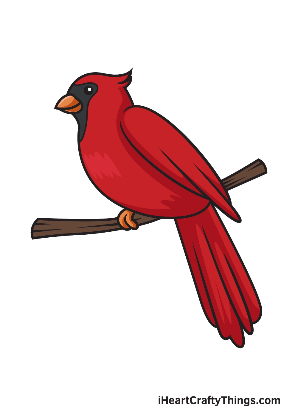 cardinal drawing