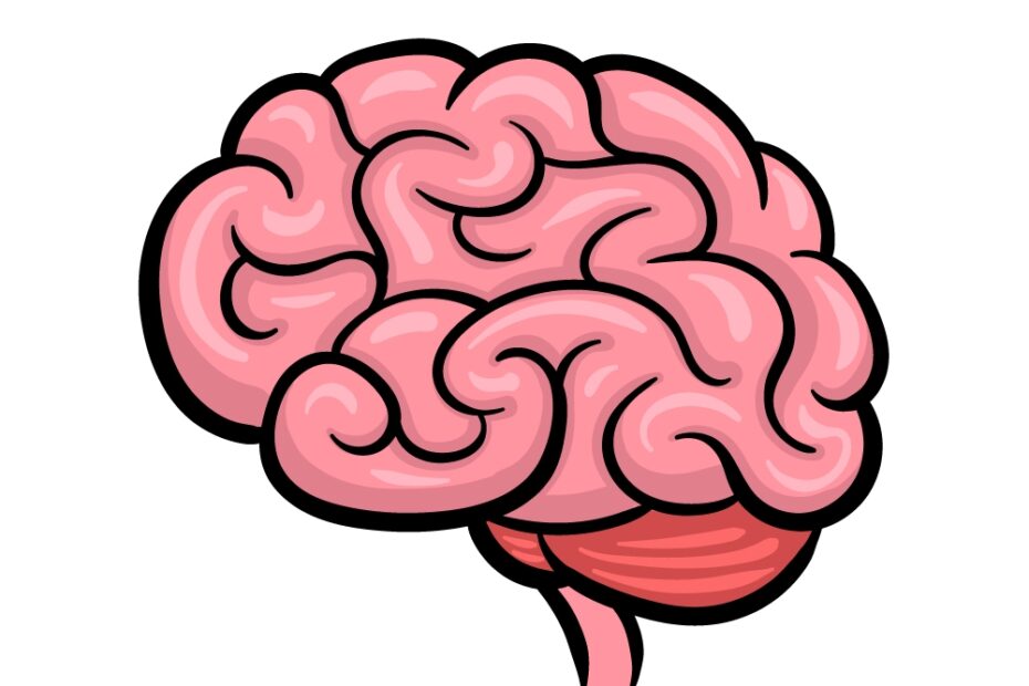 Cartoon Brain Drawing How To Draw A Cartoon Brain Step By Step