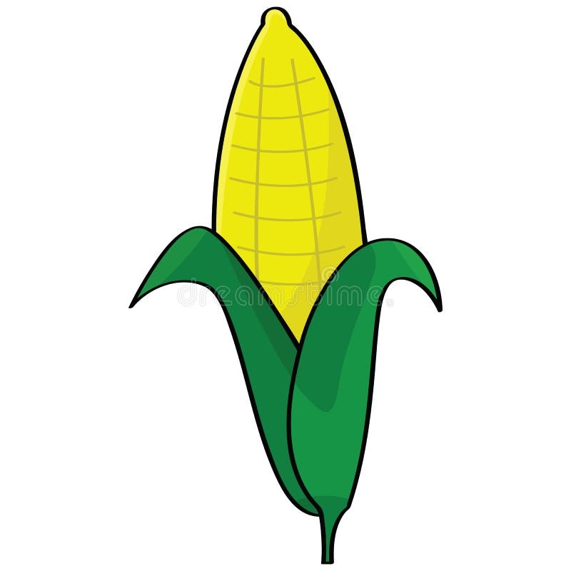 draw corn