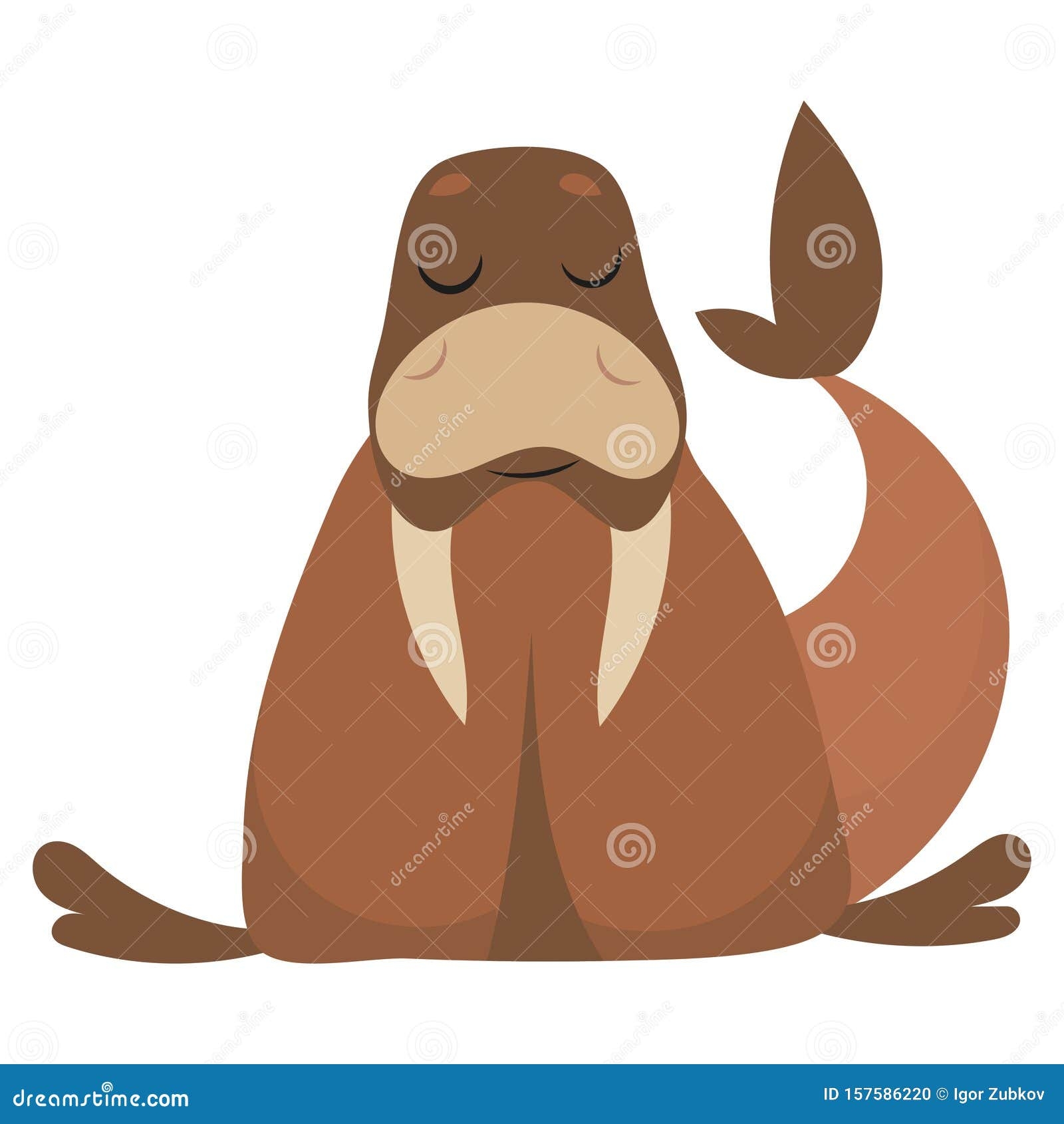 Cartoon Walrus Vector Illustration Of A Walrus Drawing Animal For Children Zoo For Kids Stock Vector Illustration Of Graphic Design 157586220