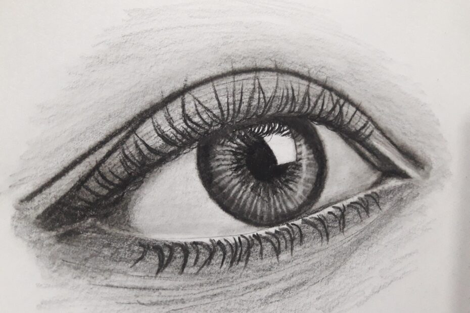 Charcoal Drawing How To Draw With Charcoal The Art Shop Skipton