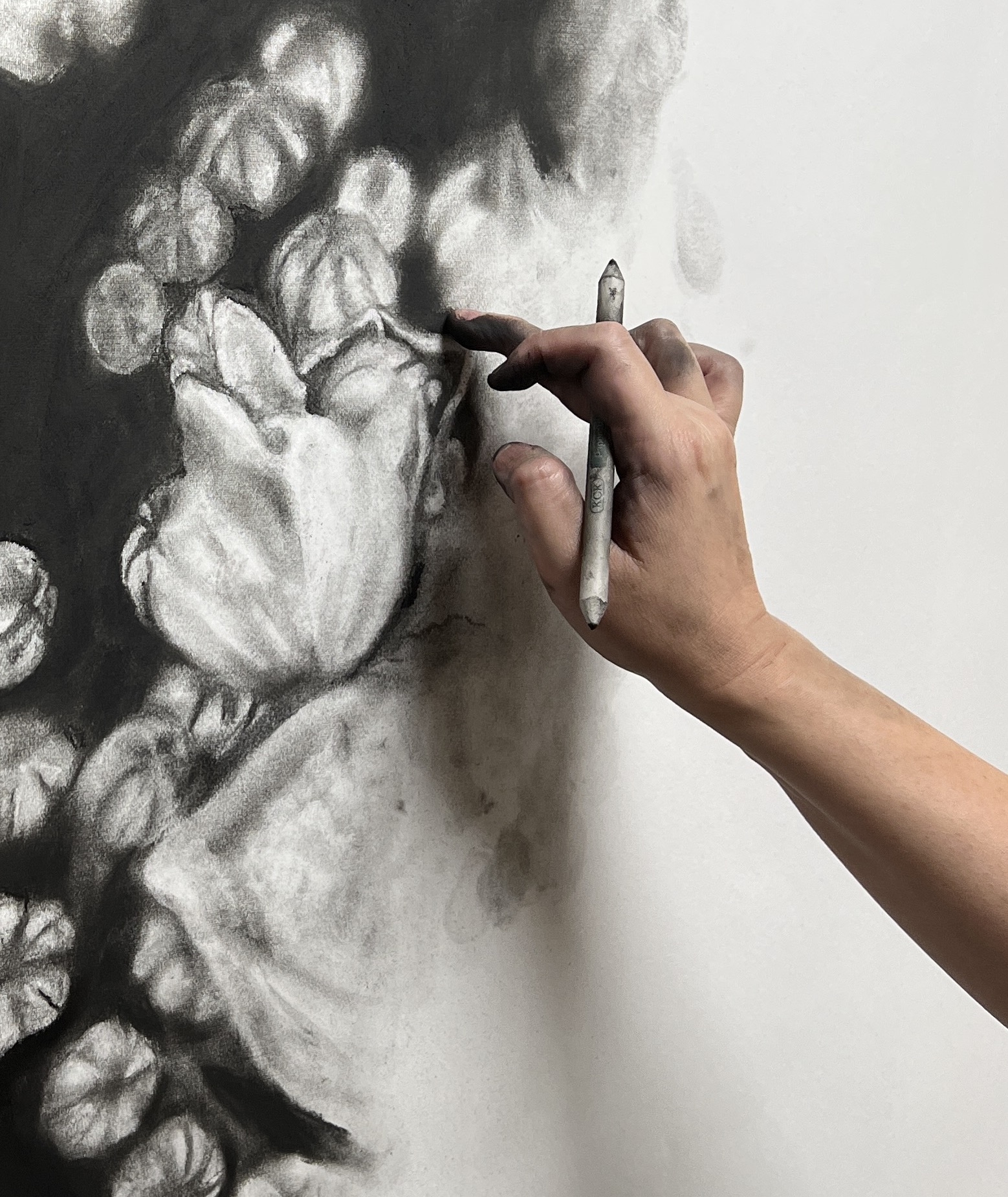 Charcoal Drawing Landscape LASALLE College Of The Arts