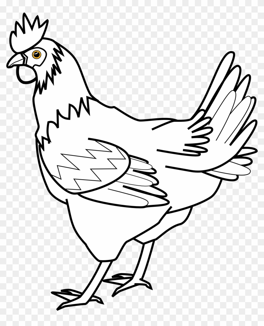 Chicken Clip Art Drawing Pictures Of Hen Free Transparent PNG 
