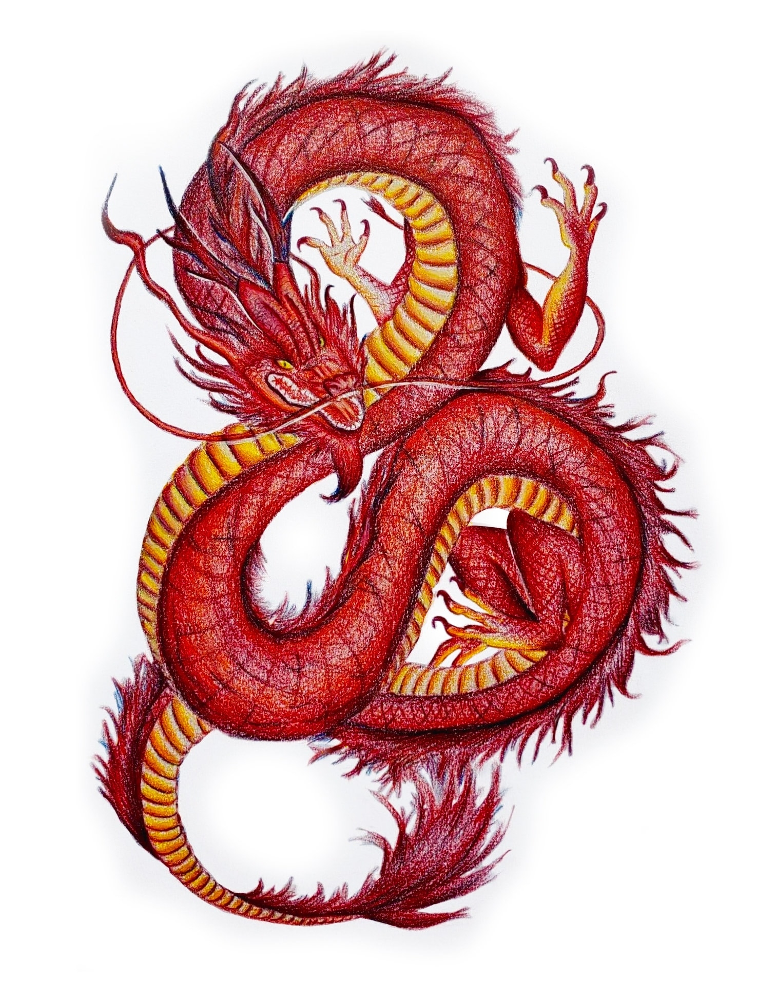 Chinese Dragon Art Print Chinese Dragon Drawing Chinese Dragon Art Red Dragon Art Print Fantasy Dragon Art Print Colored Pencil Dragon Etsy Finland