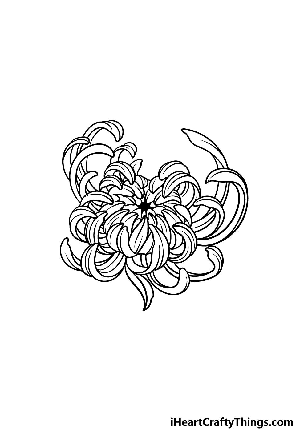Chrysanthemum Drawing How To Draw A Chrysanthemum Step By Step