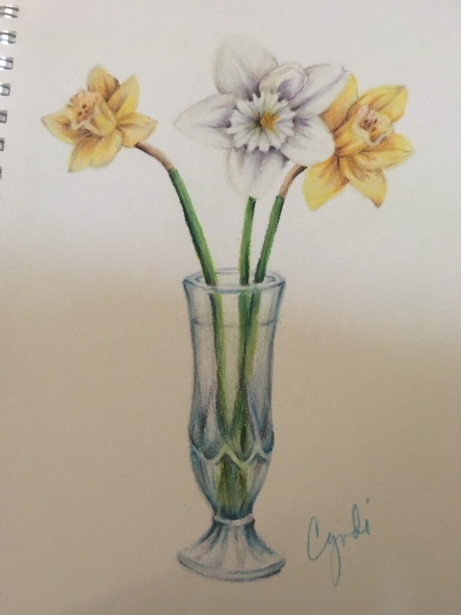 daffodil drawing