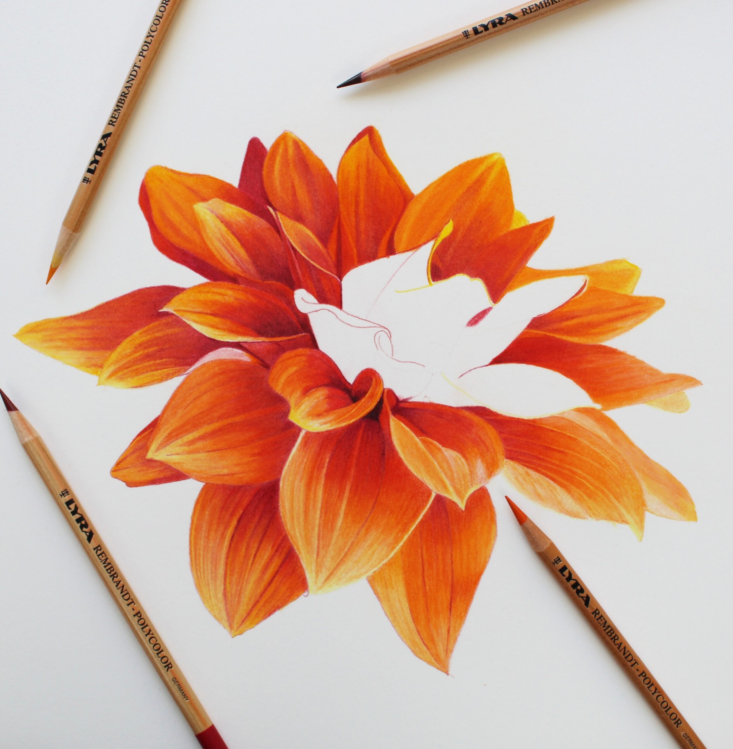 colored pencil drawings
