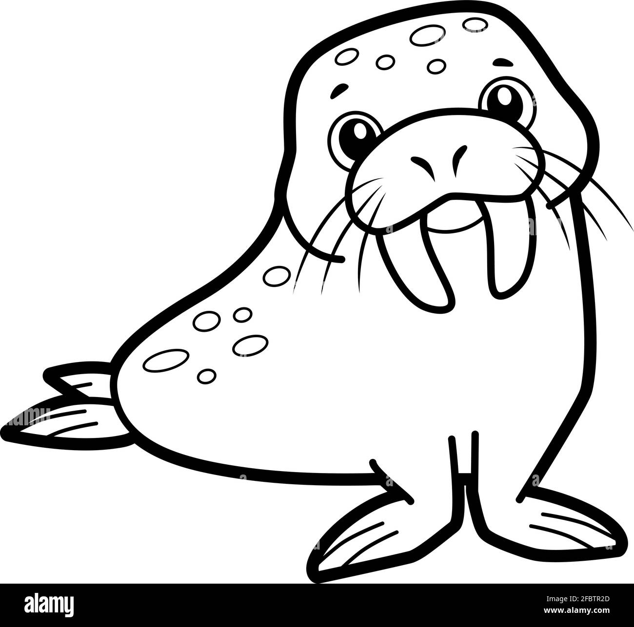 Coloring Book Or Page For Kids Walrus Black And White Vector Illustration Stock Vector Image U0026 Art Alamy