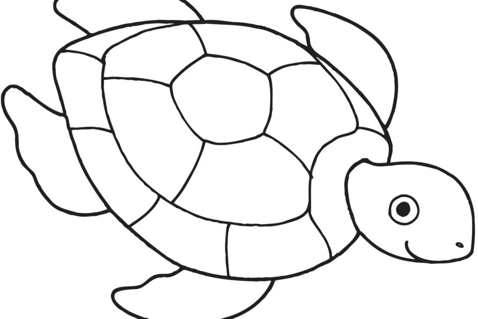 Coloring Pages Printable Free Turtle Coloring Pages