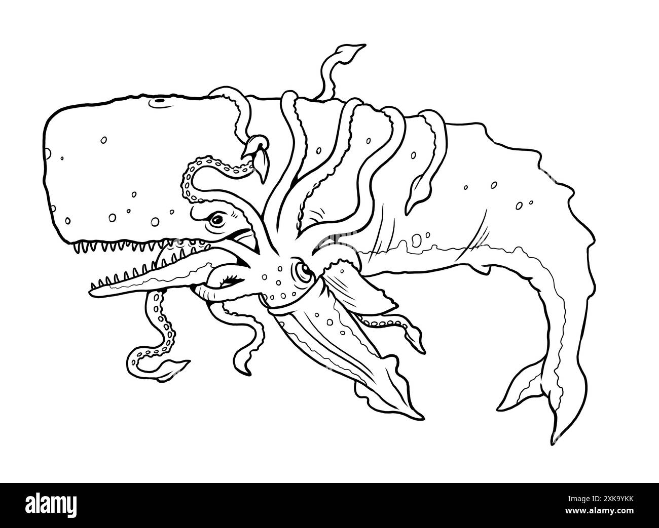 Coloring Squid Black And White Stock Photos U0026 Images Alamy