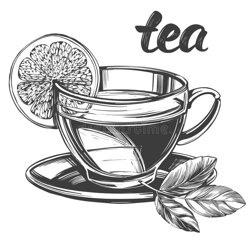 tea cup drawing