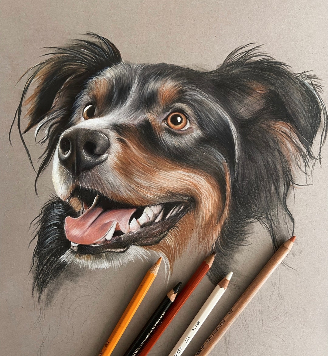 Custom Colored Pencil Pet Portraits Hand Drawn Pet Portrait Pet Drawing Commission Pet Loss Gift Colored Pencil Dog Lover Gift Etsy