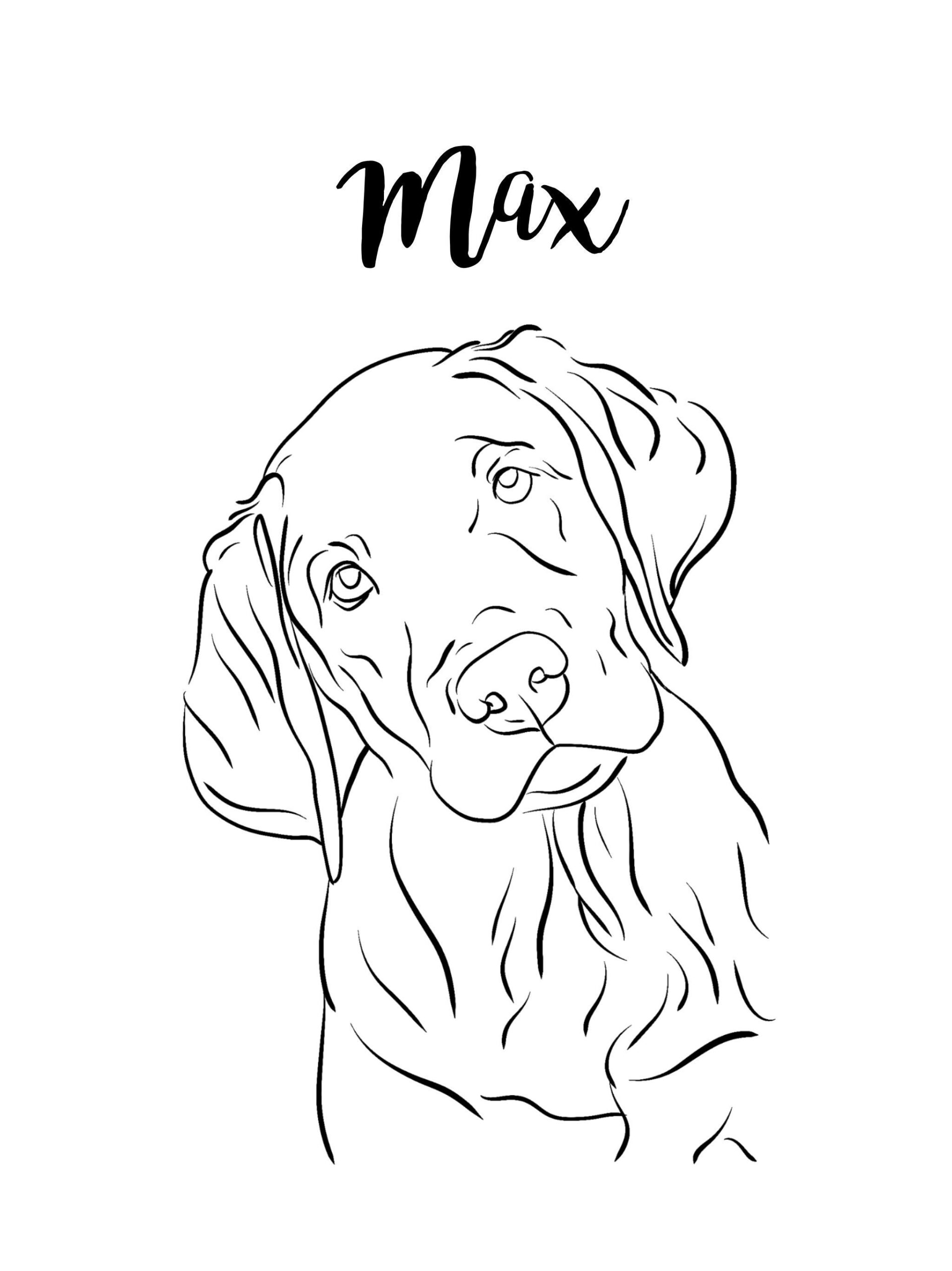 dog line drawing