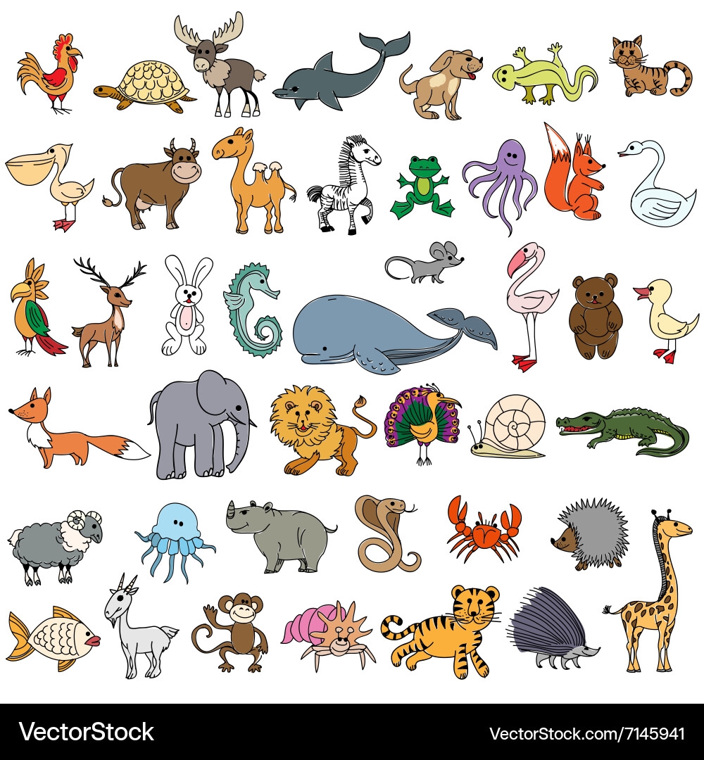 animals drawing