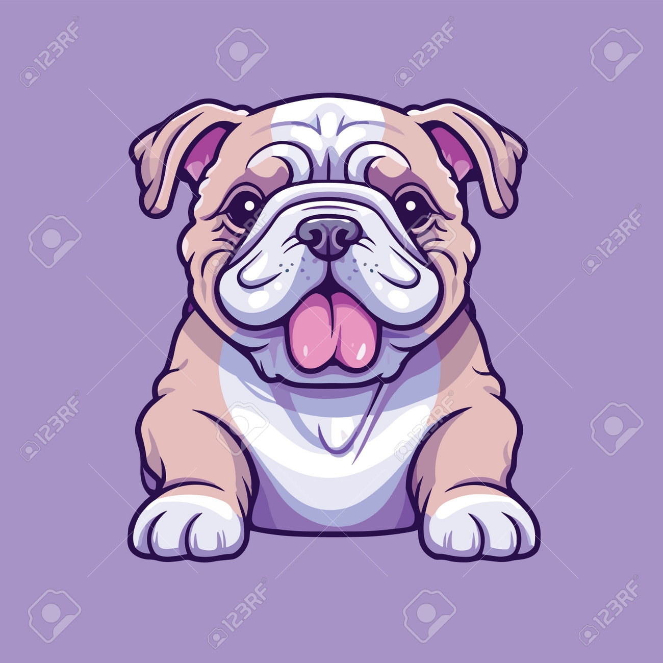 bulldog drawing