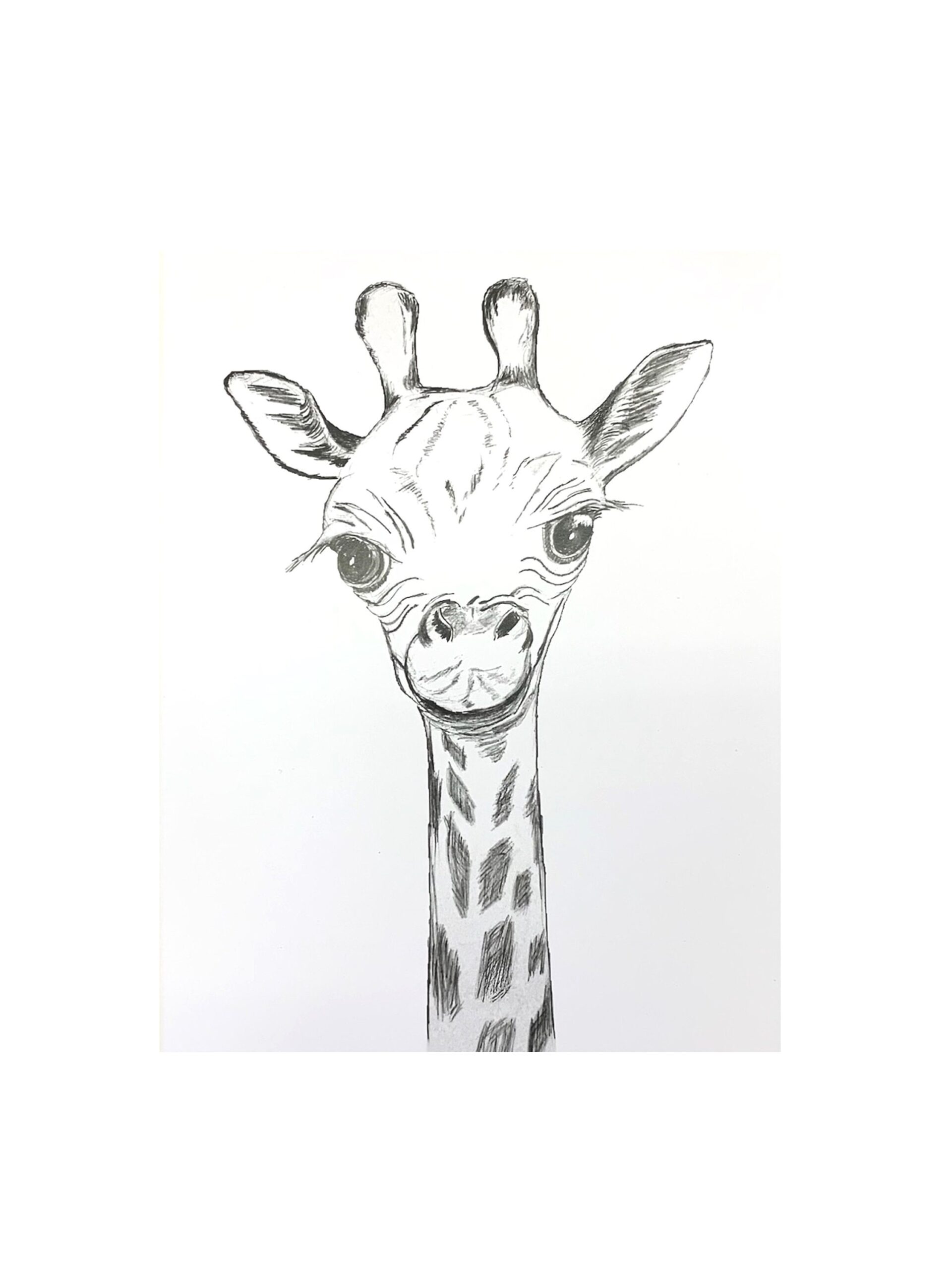 cute giraffe drawing