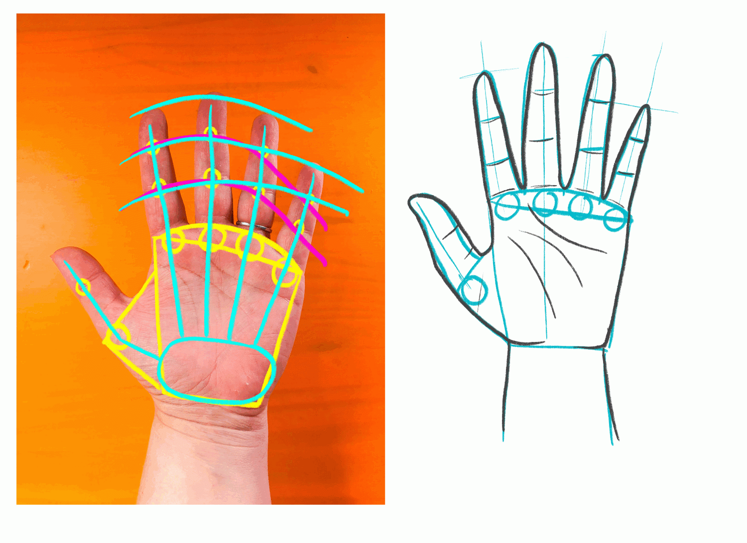 Day 16 How To Draw Hands Bardot Brush