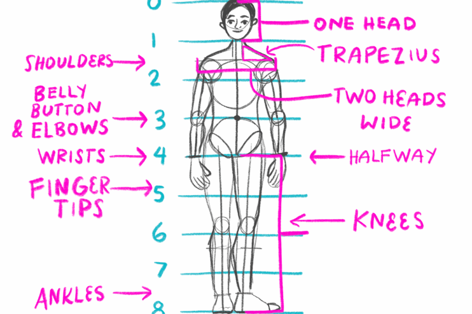 Day 22 How To Draw Body Proportions Bardot Brush