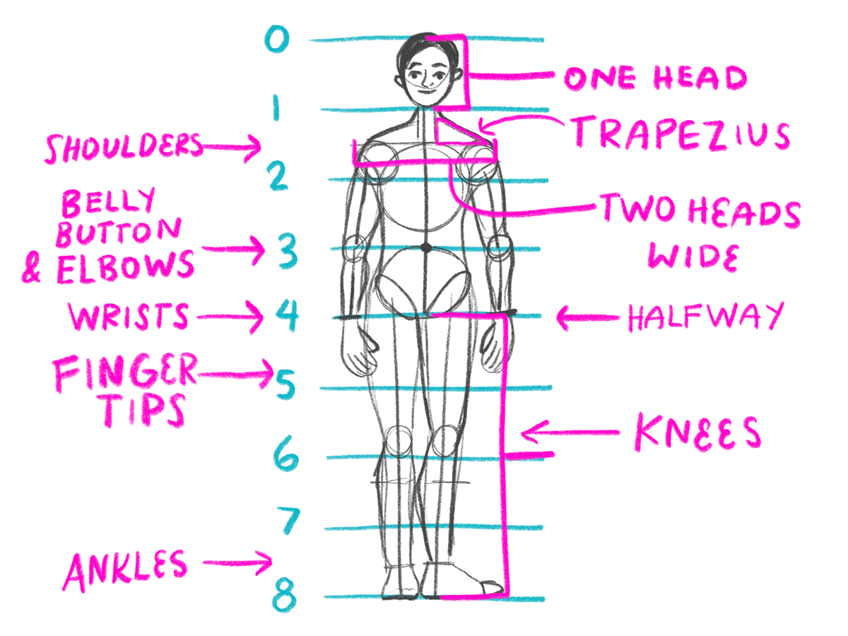 Day 22 How To Draw Body Proportions Bardot Brush