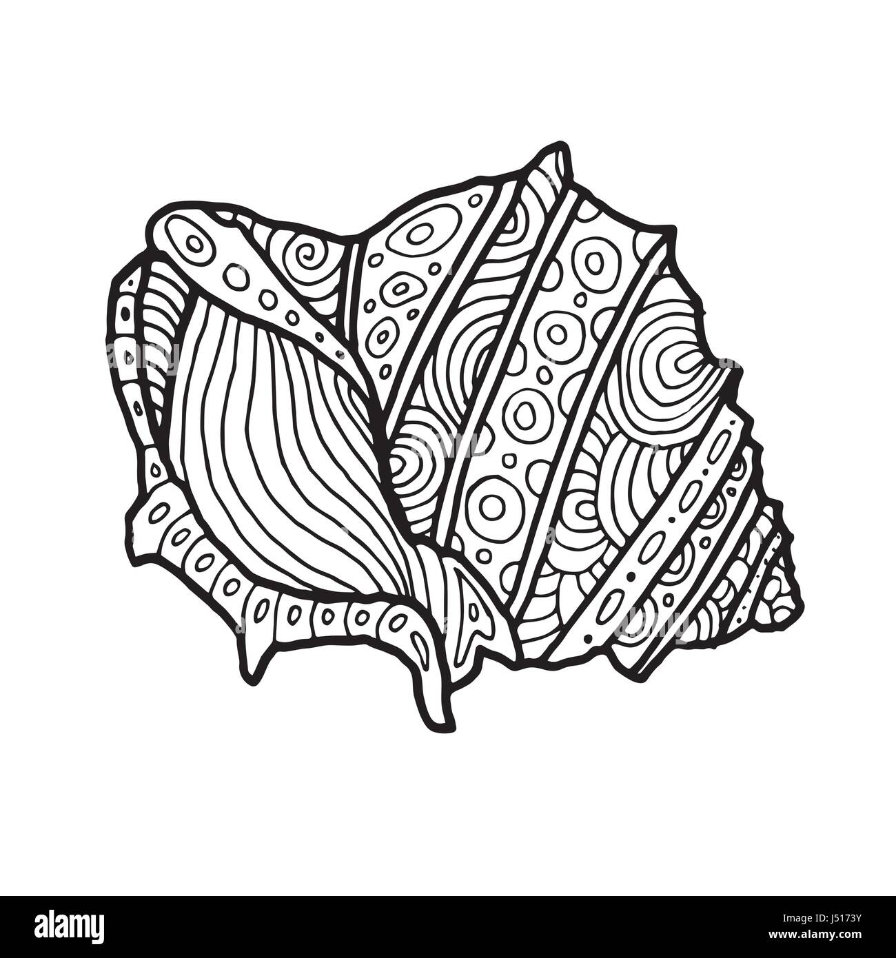 Decorative Zentangle Sea Shell Illustration Outline Drawing Coloring Book For Adult And Children Coloring Page Vector Printable Typography For Pos Stock Vector Image U0026 Art Alamy
