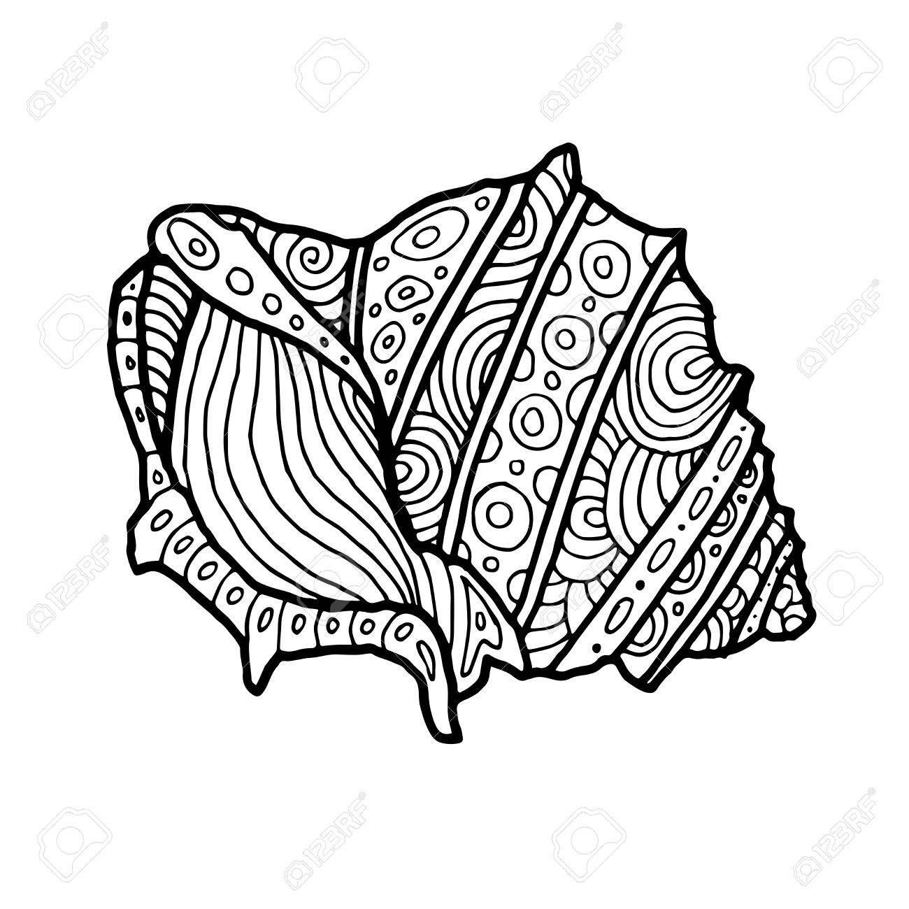 Decorative Zentangle Sea Shell Illustration Outline Drawing 