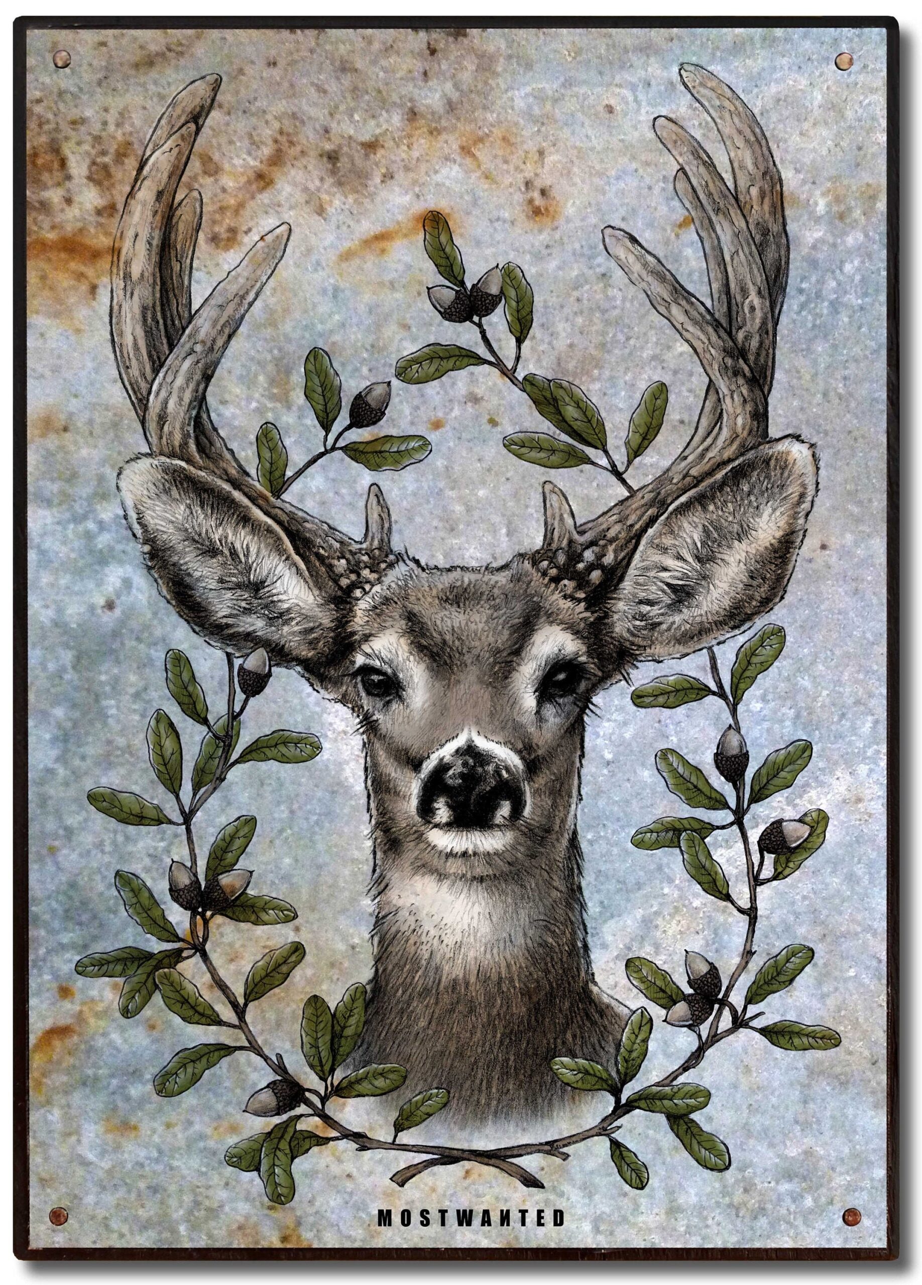 Deer Head With Oak Branches Whitetail Buck Colored Pencil 