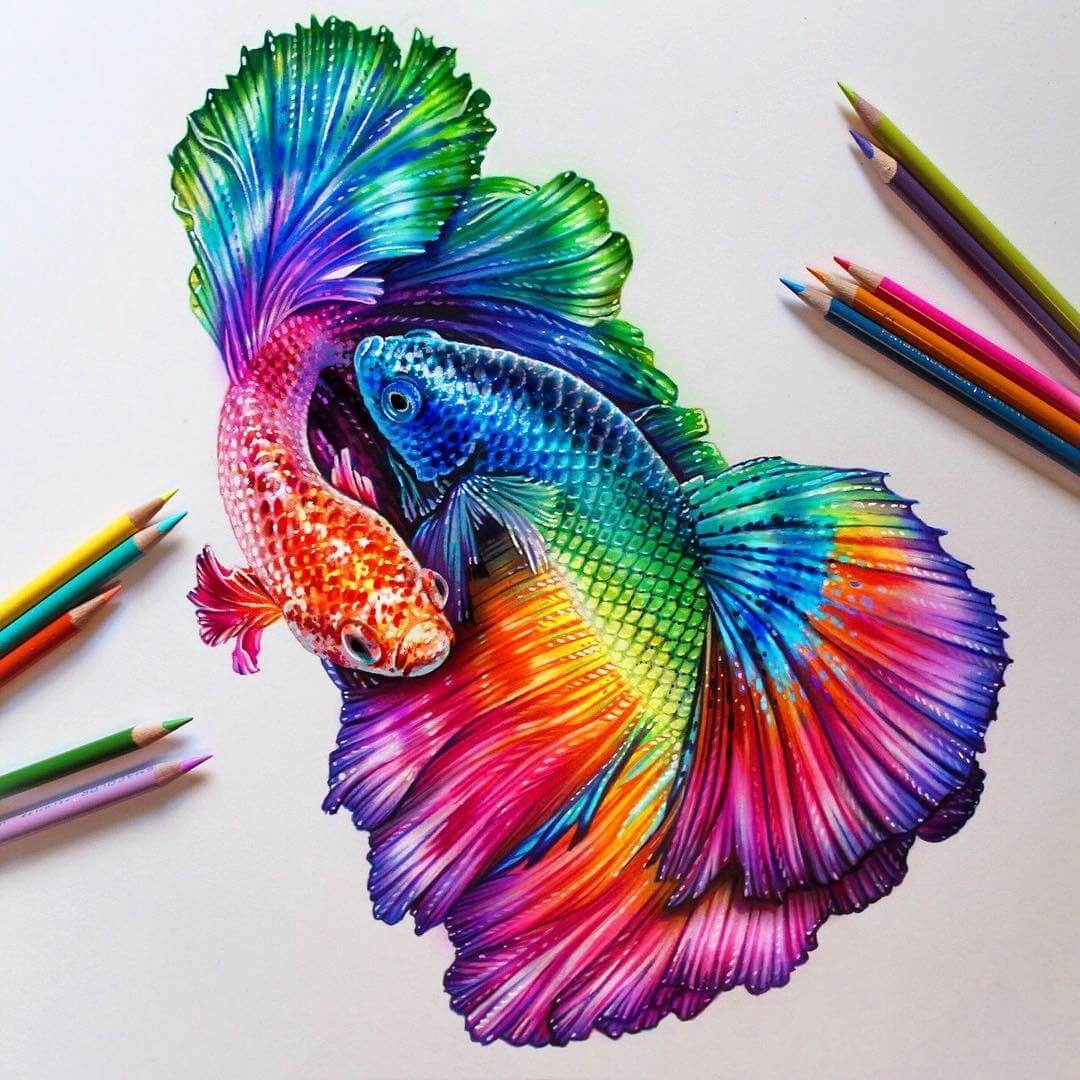 colorful drawings
