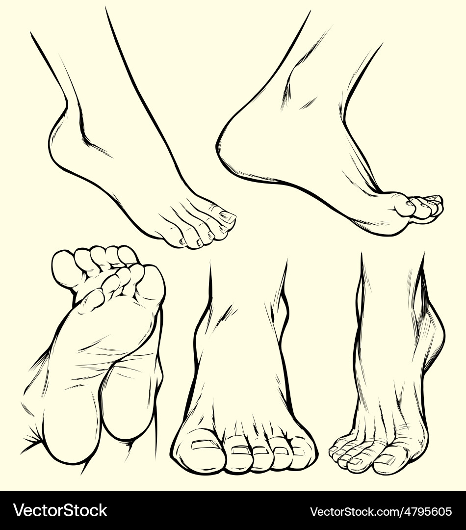 Detailed Foot Sketches Royalty Free Vector Image