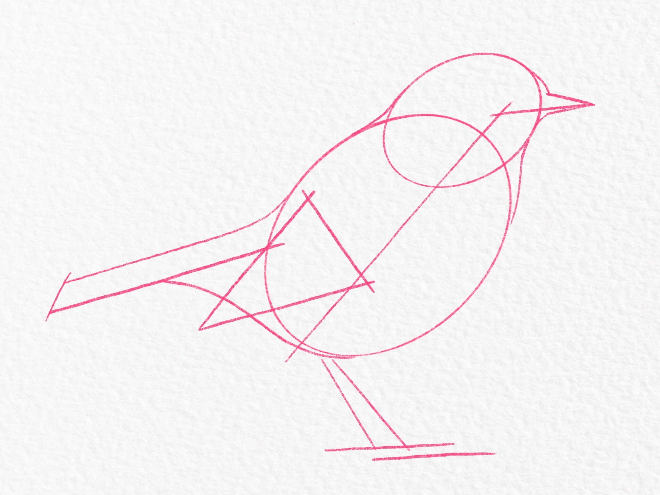 Discover How To Draw A Bird With These Simple Steps Gathered