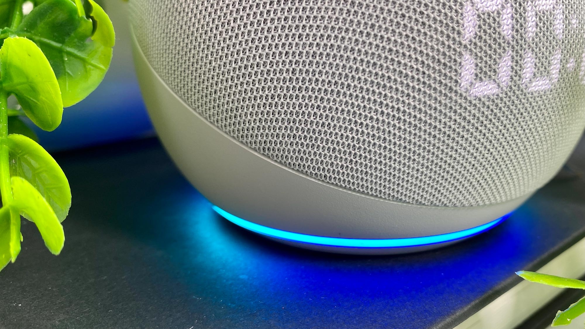 does an echo dot have to be plugged in