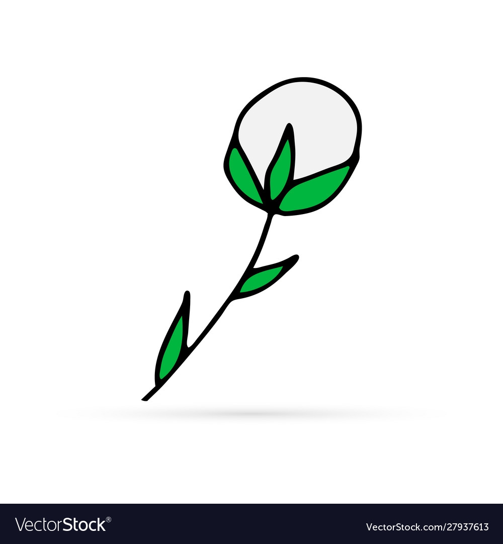 cotton drawing