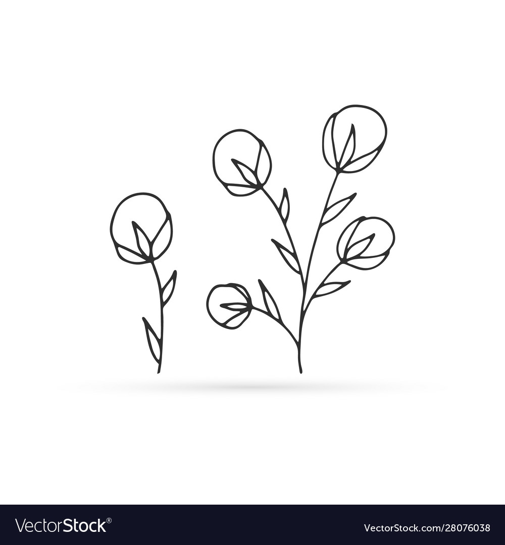 Doodle Flower Cotton Icon Kids Hand Drawing Line Vector Image