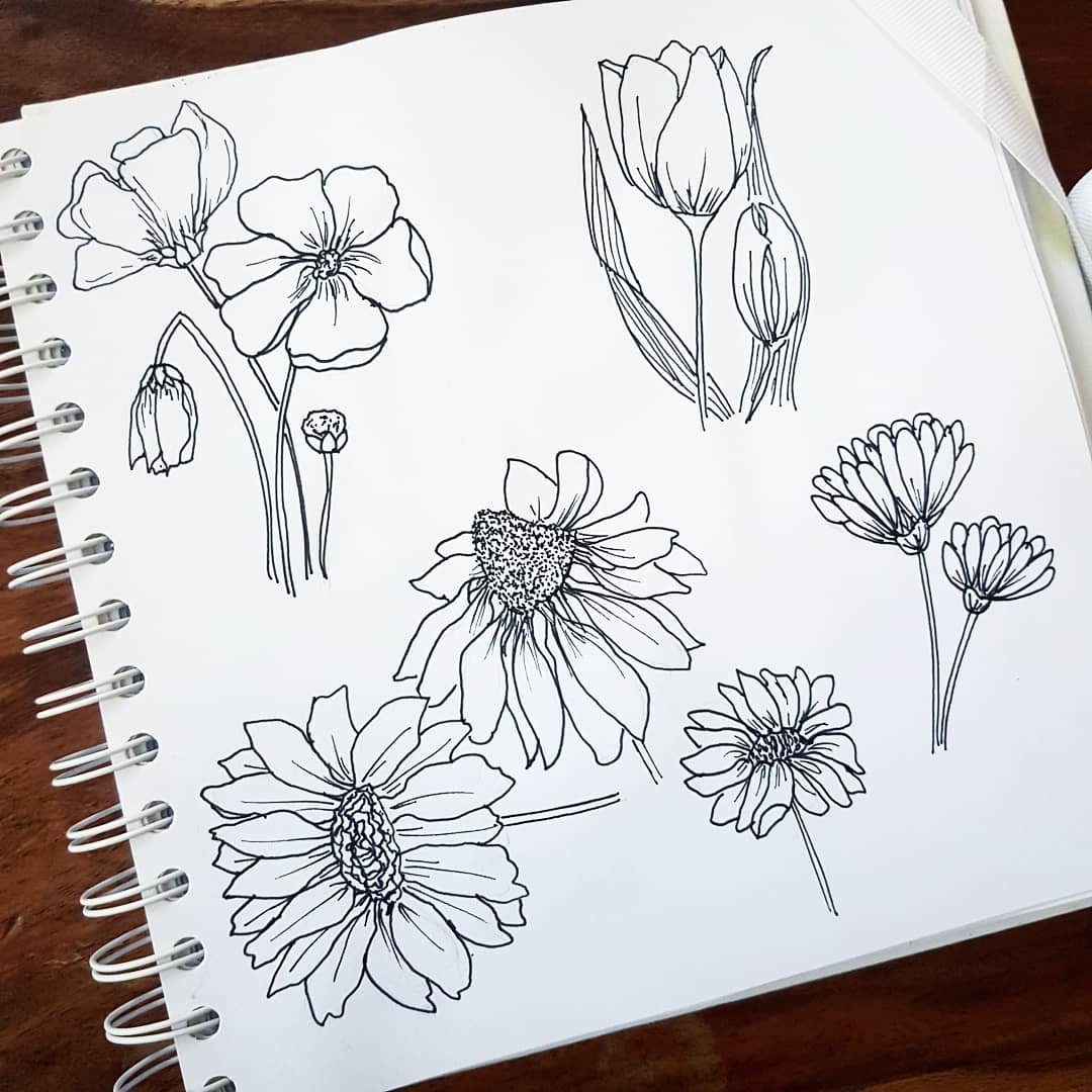 drawing inspo