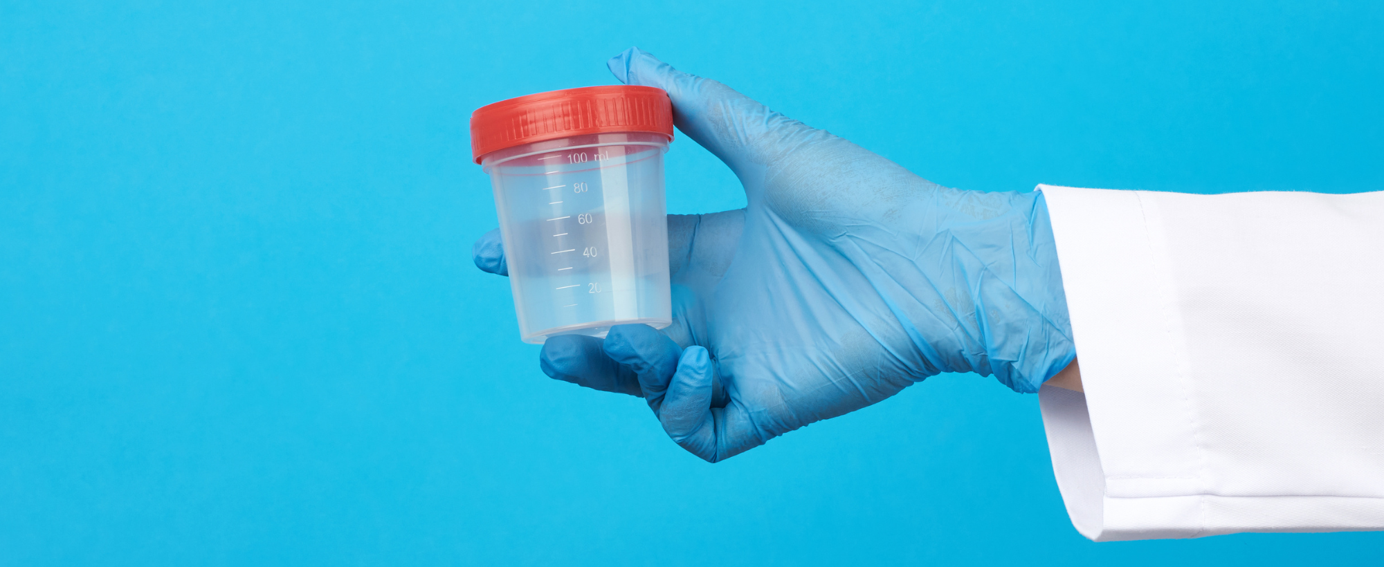 how to pass a dot physical urine test