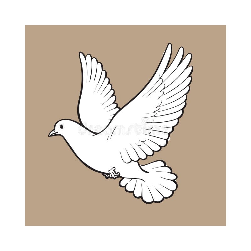 Dove Sketch Stock Illustrations 12 039 Dove Sketch Stock Illustrations Vectors U0026 Clipart Dreamstime
