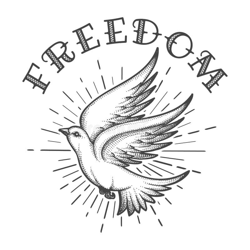 Dove Tattoo Stock Illustrations 10 752 Dove Tattoo Stock Illustrations Vectors U0026 Clipart Dreamstime
