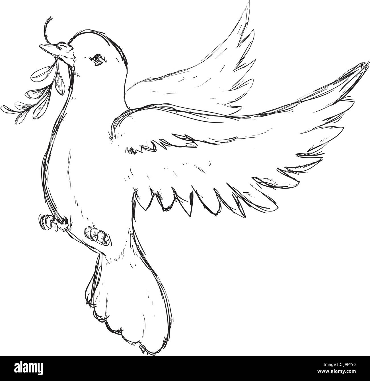 Dove The Bird Of Peace Stock Vector Image U0026 Art Alamy