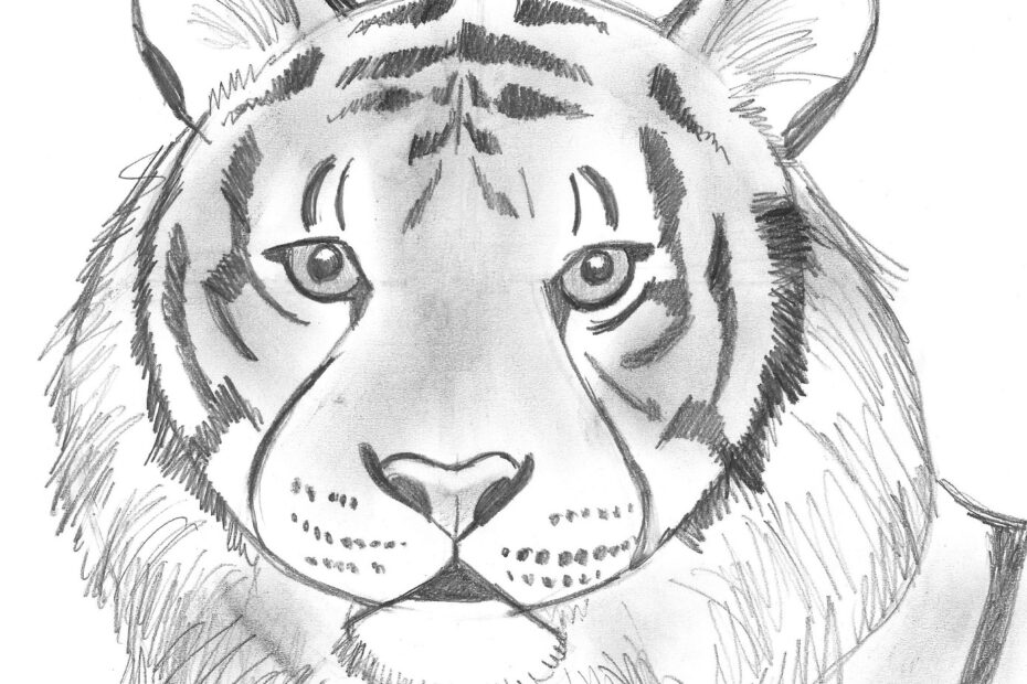 Draw 25 Wild Animals Even If You Don t Know How To Draw Art Starts