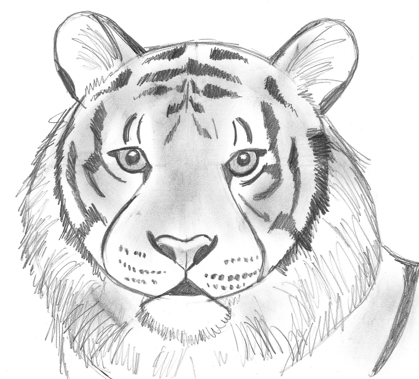 Draw 25 Wild Animals Even If You Don t Know How To Draw Art Starts