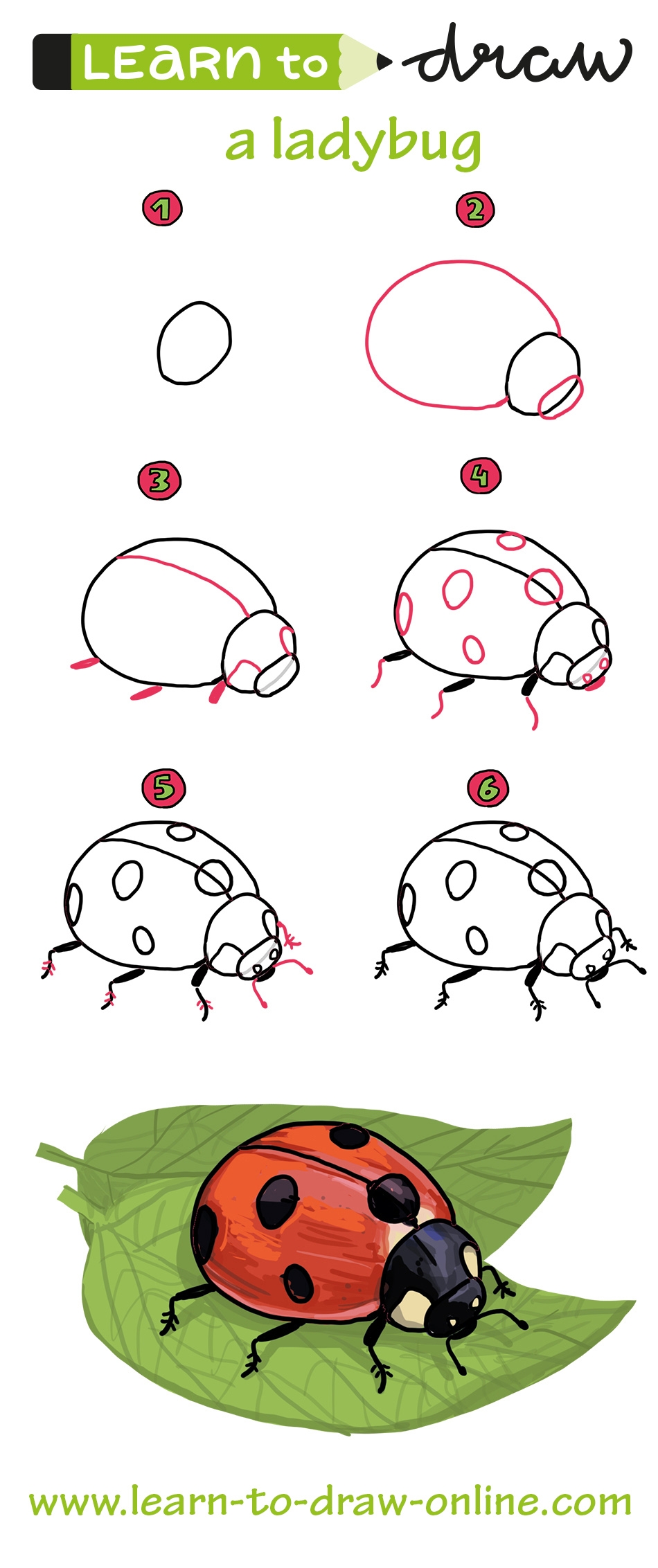 Draw A Ladybug Learn To Draw Online