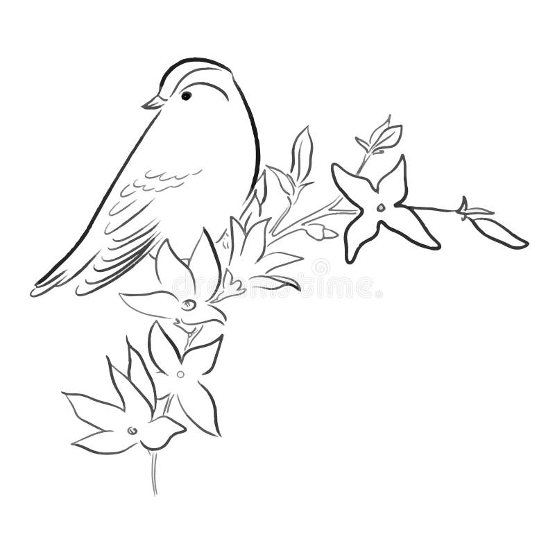 Draw Spring Stock Illustrations 68 263 Draw Spring Stock 