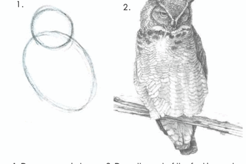 Draw The Rest Of The Fucking Owl By Karla Starr